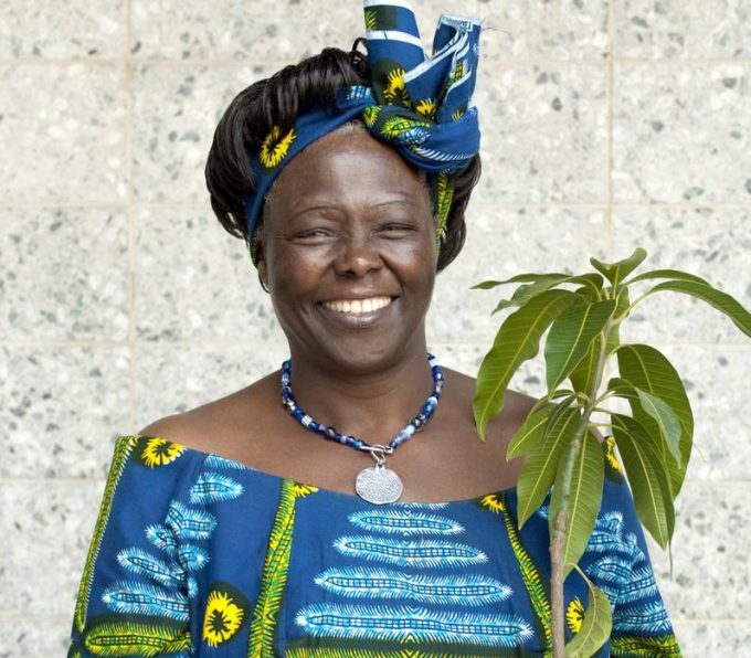 Wangari Maathai - Construction IT